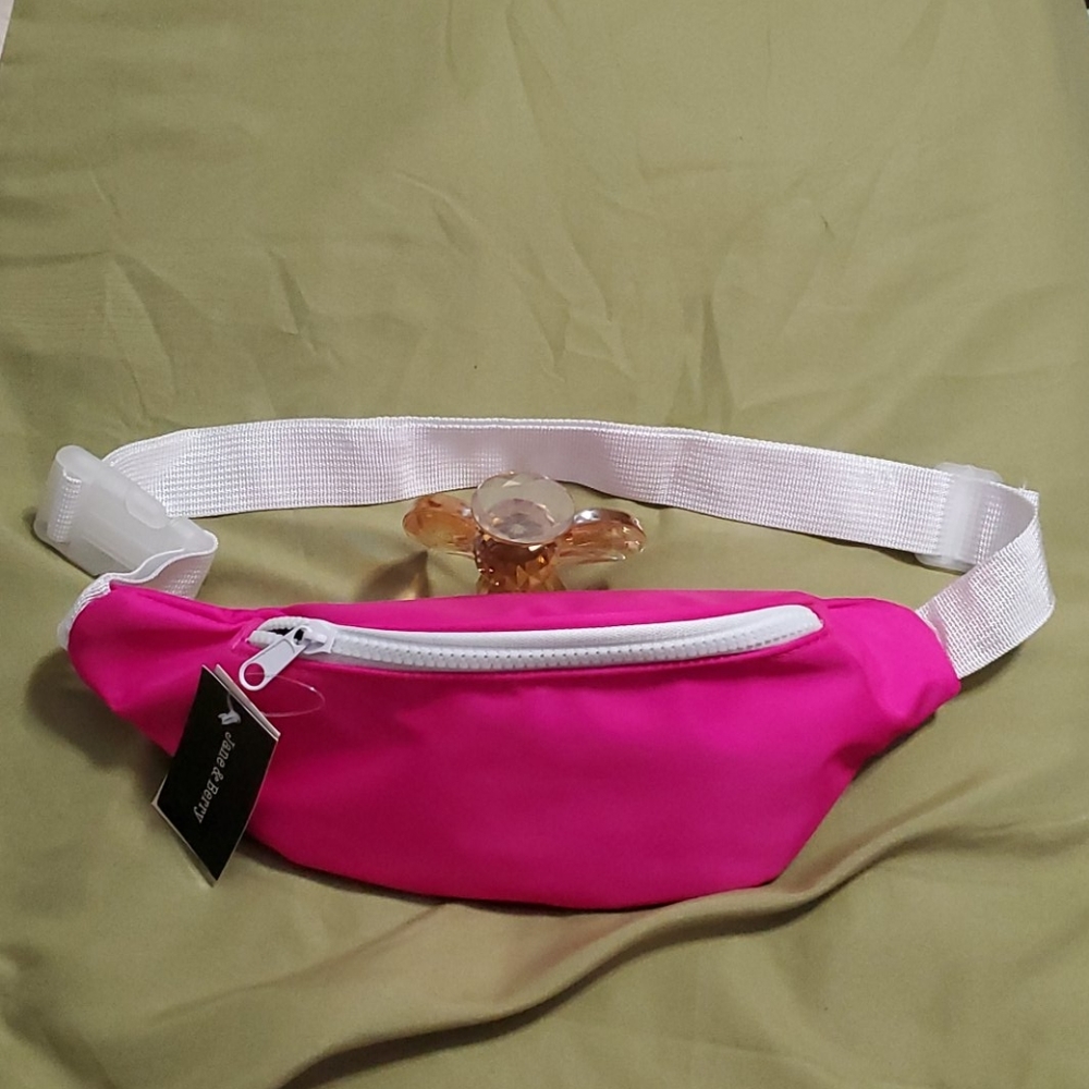 Fanny Pack / waist belt